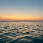 Niriides
